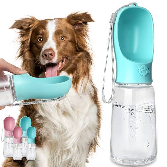PupCup