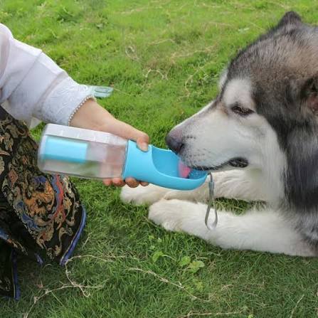 PupCup